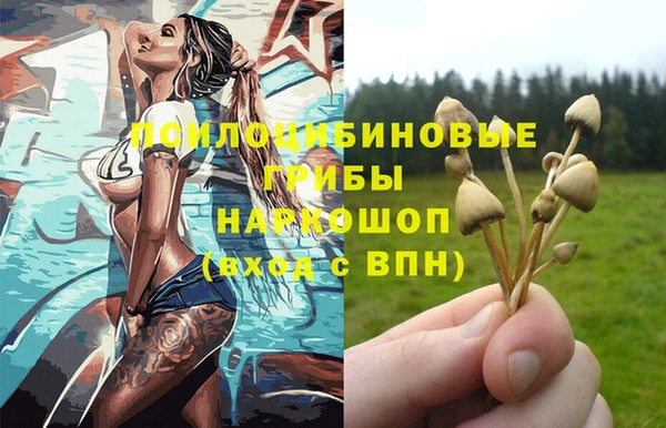 мдпв Пролетарск