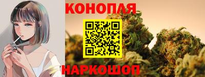 метадон Гусев