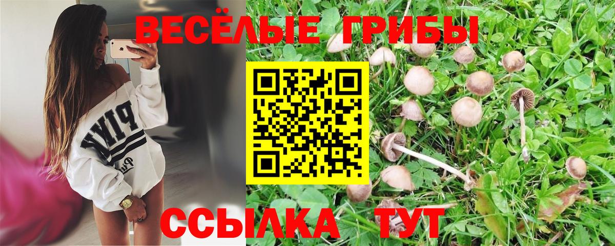 Калач-на-Дону  Псилоцибиновые грибы GOLDEN TEACHER  Псилоцибиновые грибы мухоморы  Вход с VPN 